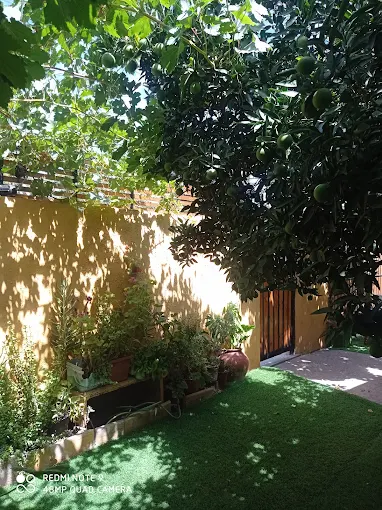 Área común exterior con árboles y plantas